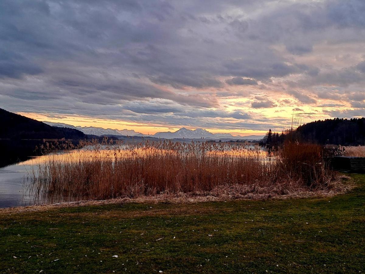 Ferienwohnung Wallersee Ноймаркт ам Валерзее Екстериор снимка