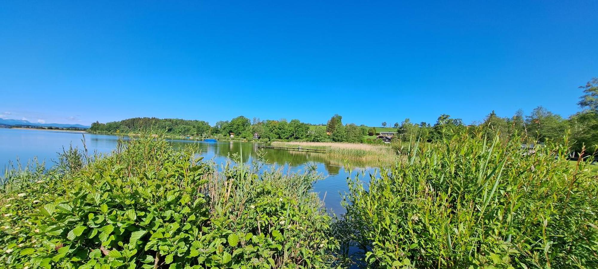 Ferienwohnung Wallersee Ноймаркт ам Валерзее Екстериор снимка
